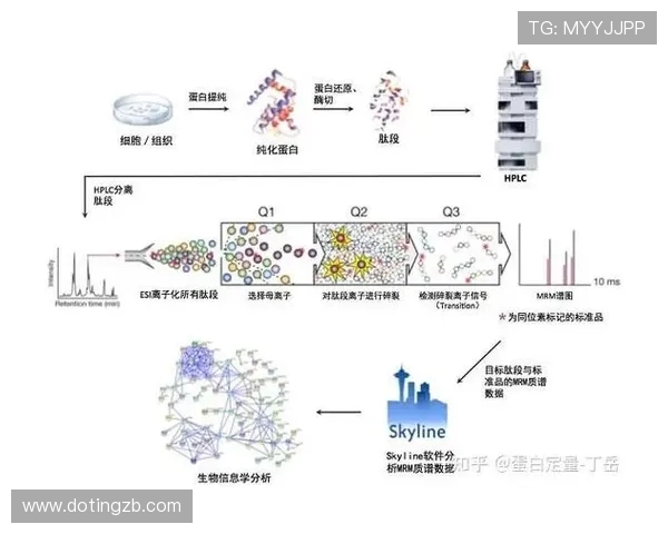 重庆足球队的防反战术解析与实践探索